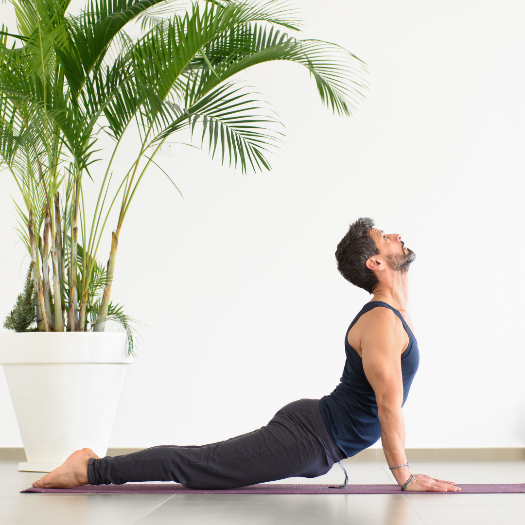 The Synergy of Yoga and Sports: Enhancing Performance and Recovery