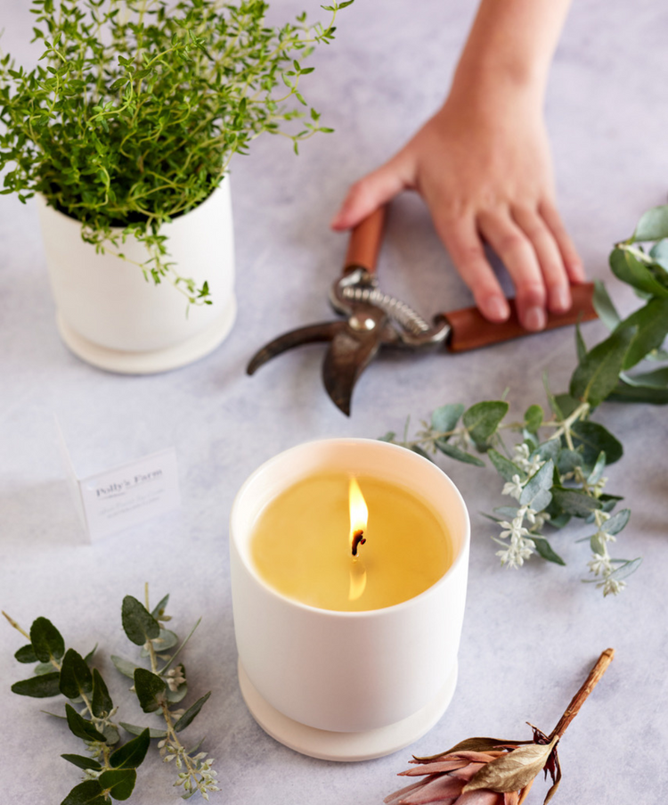 Calming Blend Botanical Candle-Candles-Anjali Generation