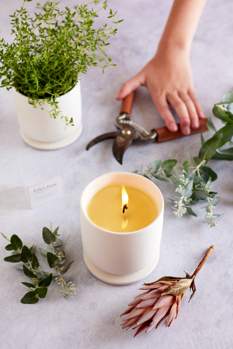 Australian Flora Botanical Candle-Candles-Anjali Generation